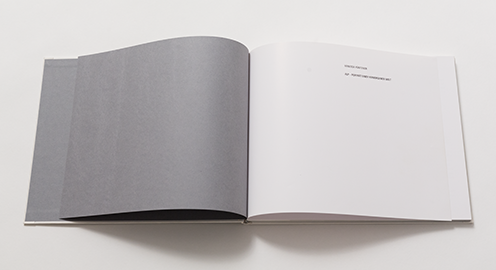 Mattea Gianotti Grafik, Illustration, Literaturvermittlung, LiteraturLabor SIKJM: Alp - 