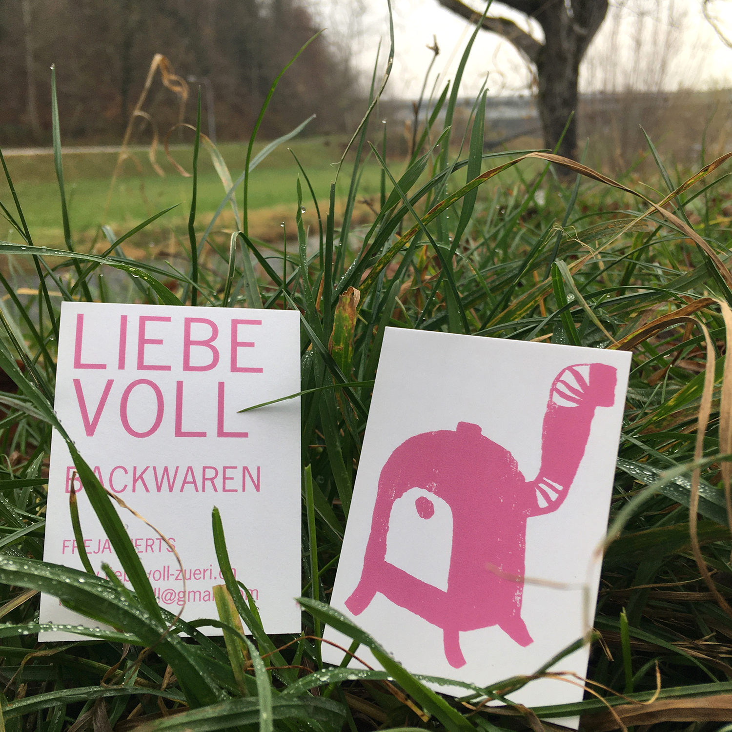 Mattea Gianotti Grafik, Illustration, Literaturvermittlung, LiteraturLabor SIKJM: Liebevoll Backwaren Zürich - 